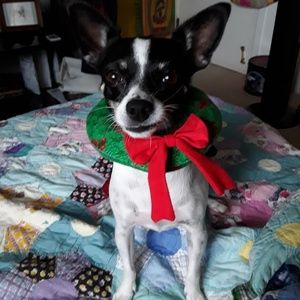 Meet your Posher, Katherine